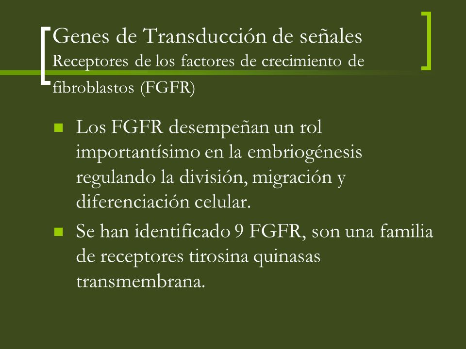 Genes de Transducción de señales Receptores de los factores de crecimiento de fibroblastos (FGFR)
