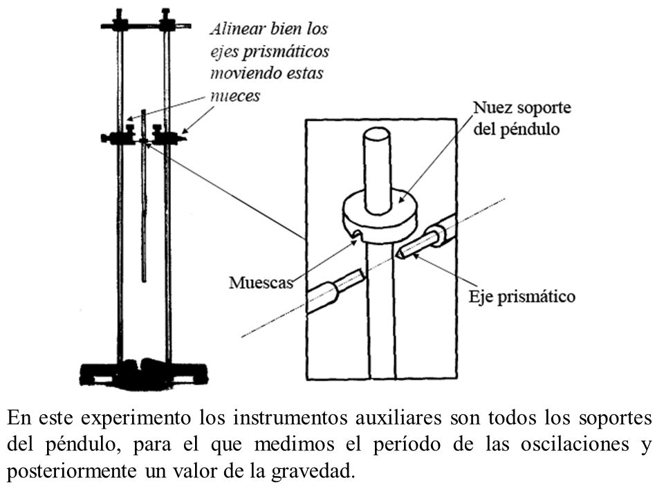 En este experimento los instrumentos auxiliares son todos los soportes del péndulo, para el que medimos el período de las oscilaciones y posteriormente un valor de la gravedad.