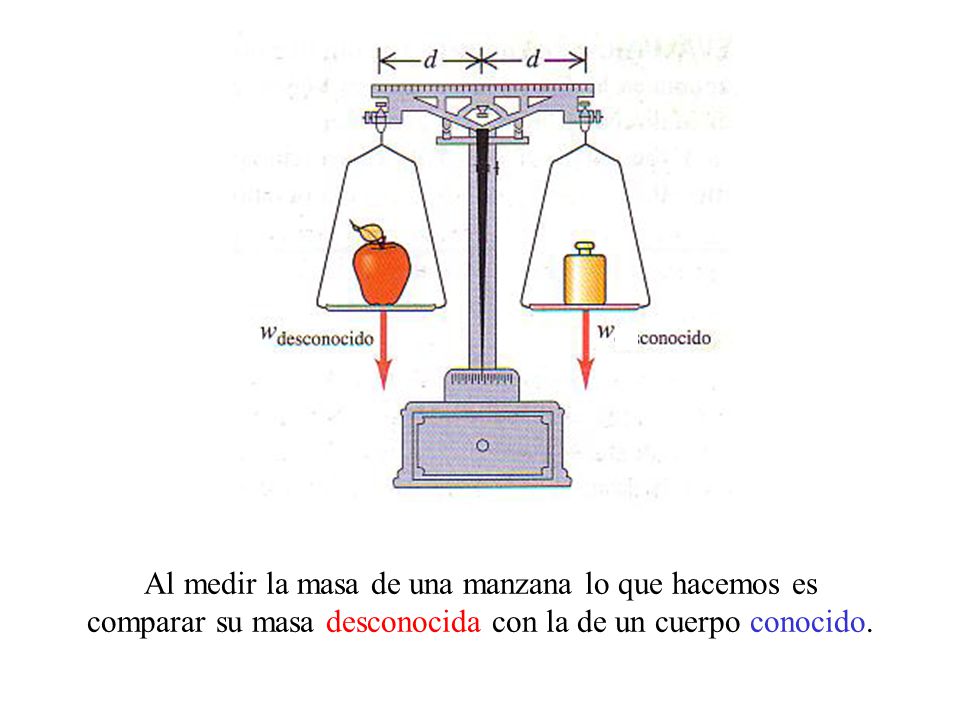 Al medir la masa de una manzana lo que hacemos es comparar su masa desconocida con la de un cuerpo conocido.