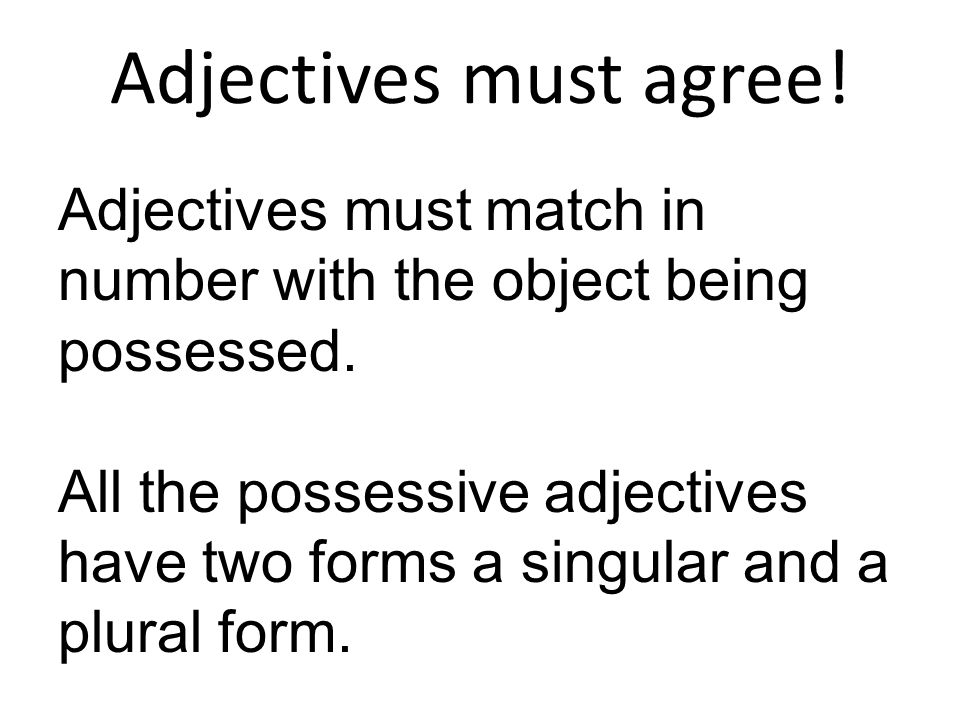 Adjectives must agree! Adjectives must match in number with the object being possessed.