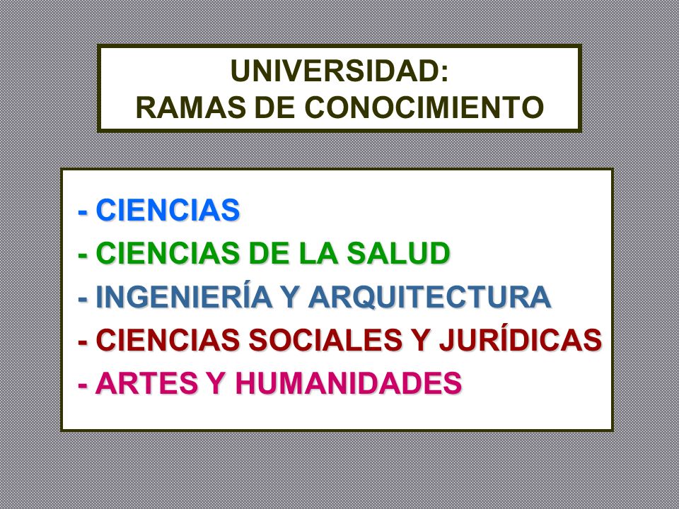 UNIVERSIDAD: RAMAS DE CONOCIMIENTO