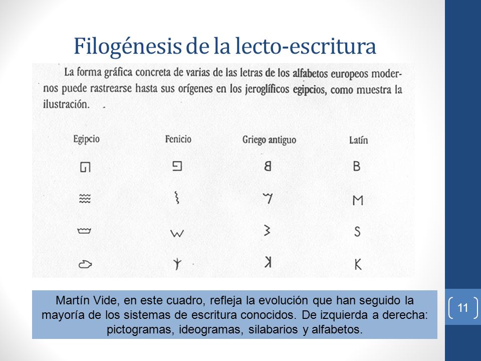 Filogénesis de la lecto-escritura