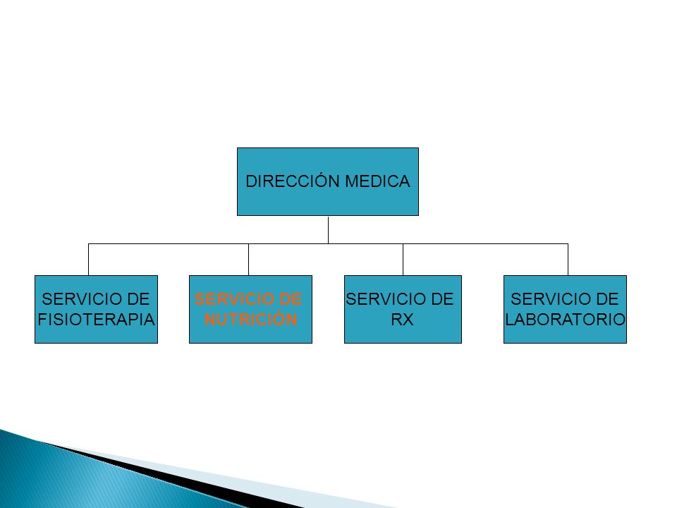 DIRECCIÓN MEDICA SERVICIO DE. FISIOTERAPIA. SERVICIO DE. NUTRICIÓN. SERVICIO DE. RX. SERVICIO DE.
