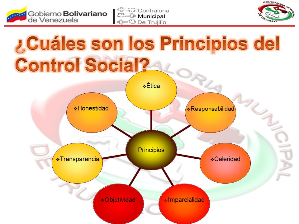 ¿Cuáles son los Principios del Control Social