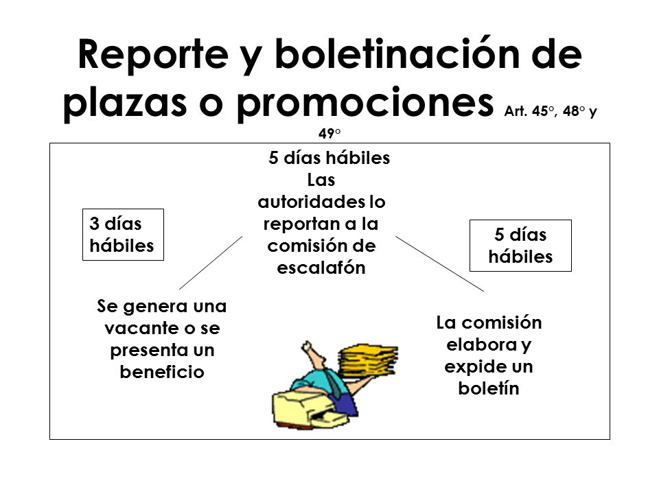 Reporte y boletinación de plazas o promociones Art. 45°, 48° y 49°