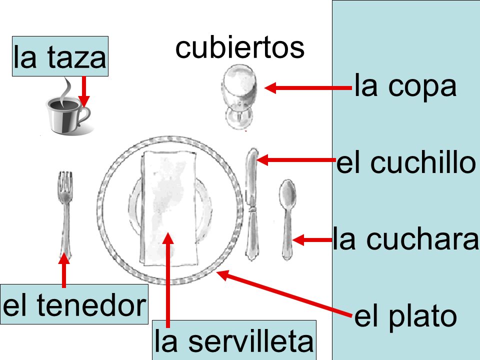 la copa el cuchillo la cuchara el plato cubiertos la taza el tenedor la servilleta
