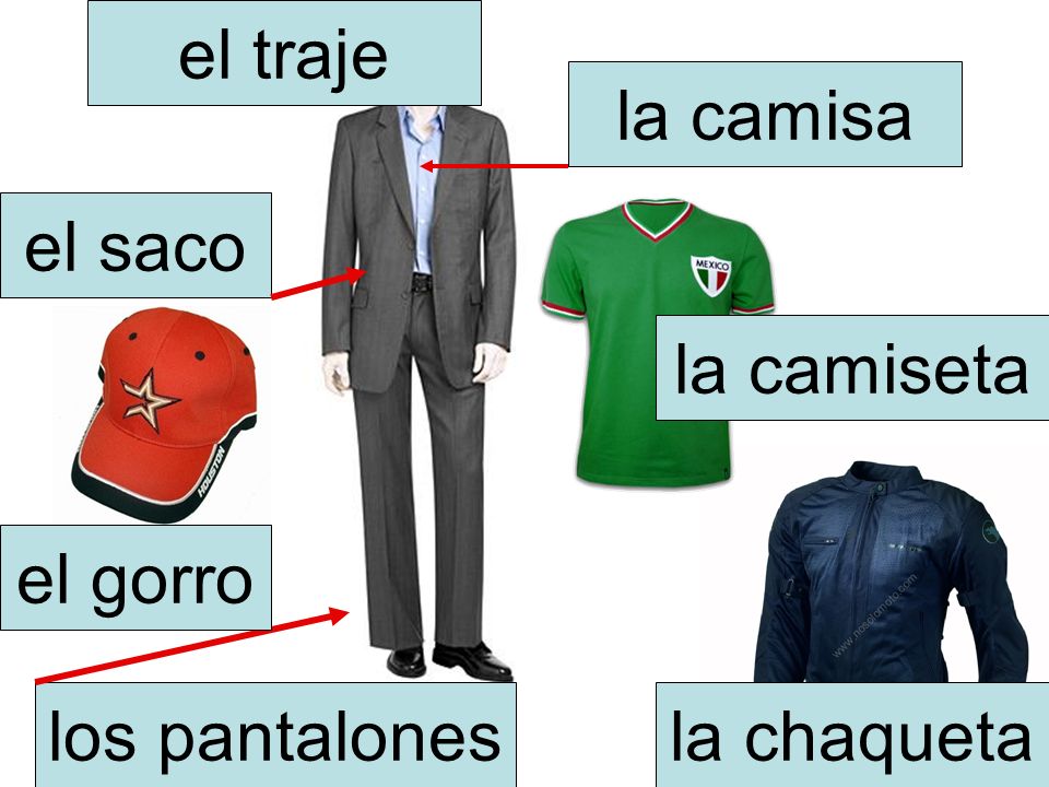el traje la camisa el saco la camiseta el gorro los pantalones la chaqueta