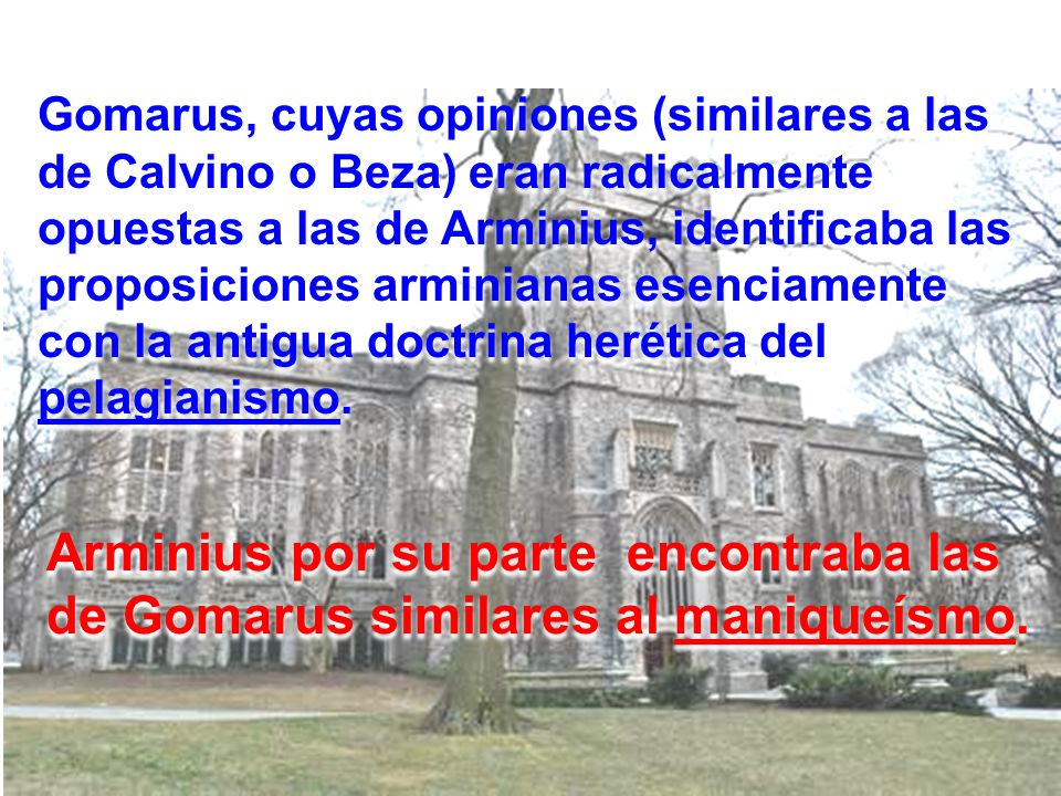 Gomarus, cuyas opiniones (similares a las de Calvino o Beza) eran radicalmente opuestas a las de Arminius, identificaba las proposiciones arminianas esenciamente con la antigua doctrina herética del pelagianismo.
