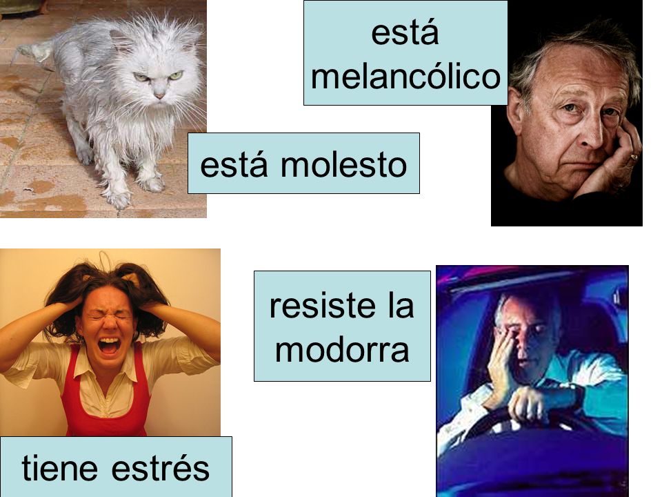 está melancólico está molesto resiste la modorra tiene estrés
