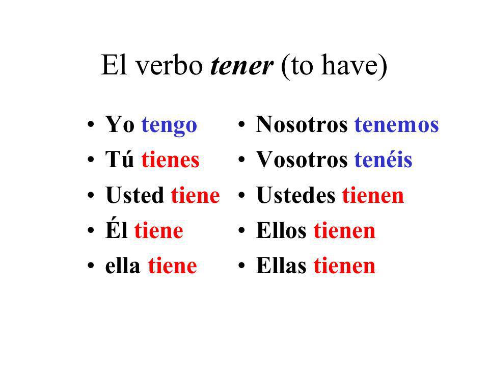 El verbo tener (to have)