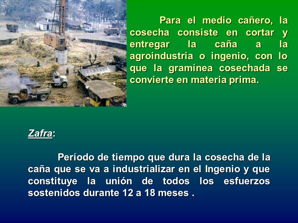 Para el medio cañero, la cosecha consiste en cortar y entregar la caña a la agroindustria o ingenio, con lo que la gramínea cosechada se convierte en materia prima.
