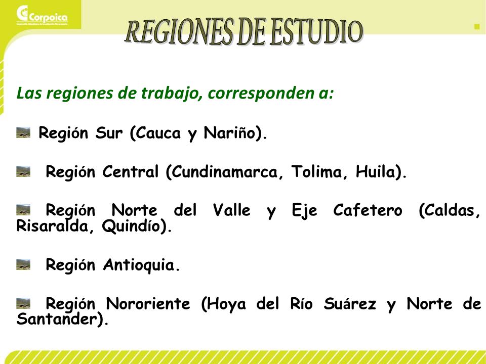 REGIONES DE ESTUDIO Las regiones de trabajo, corresponden a: