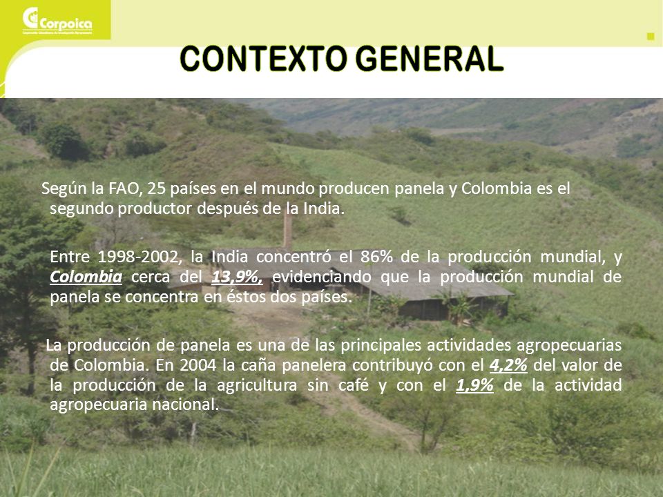 CONTEXTO GENERAL Según la FAO, 25 países en el mundo producen panela y Colombia es el segundo productor después de la India.