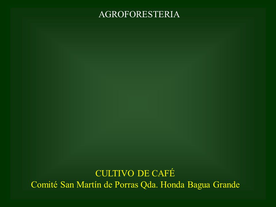 Comité San Martín de Porras Qda. Honda Bagua Grande