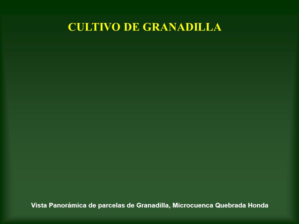 Vista Panorámica de parcelas de Granadilla, Microcuenca Quebrada Honda