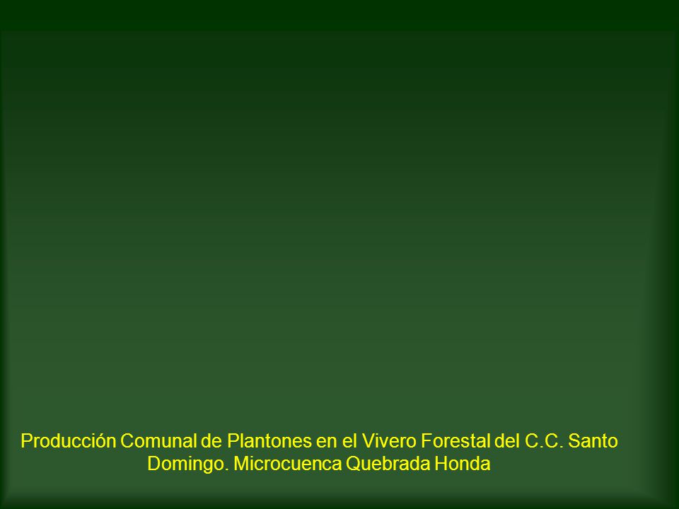 Producción Comunal de Plantones en el Vivero Forestal del C. C