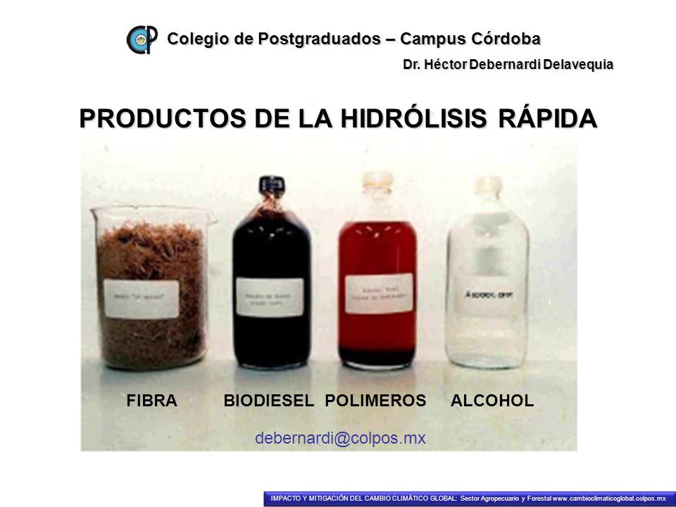 PRODUCTOS DE LA HIDRÓLISIS RÁPIDA