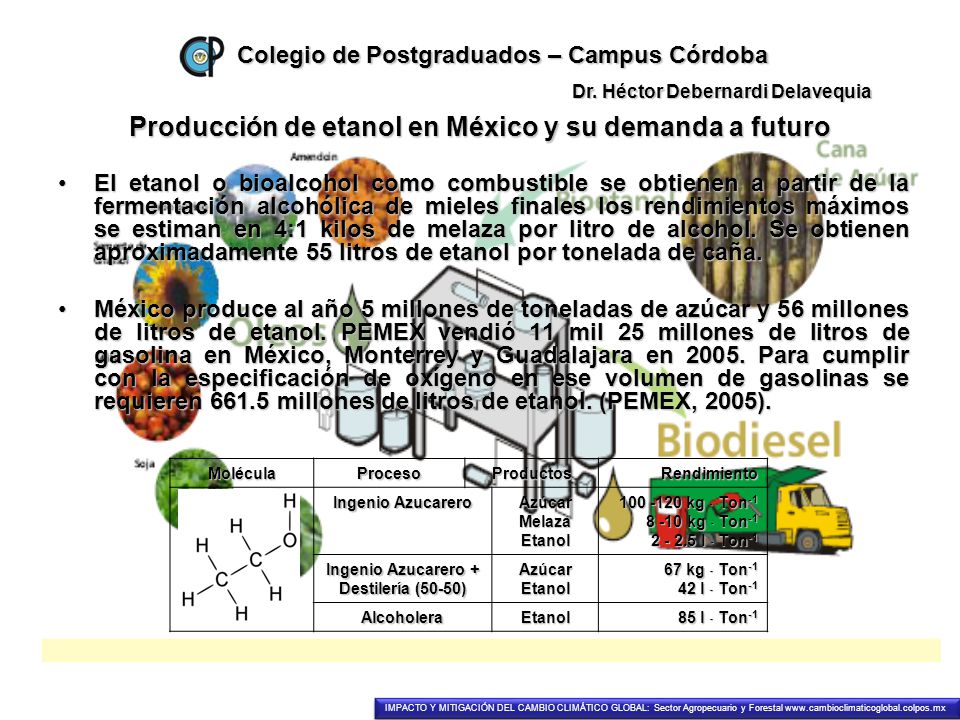 Producción de etanol en México y su demanda a futuro