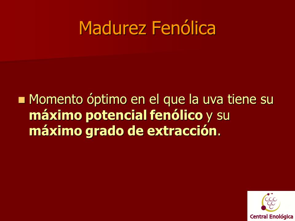 Madurez Fenólica Momento óptimo en el que la uva tiene su máximo potencial fenólico y su máximo grado de extracción.