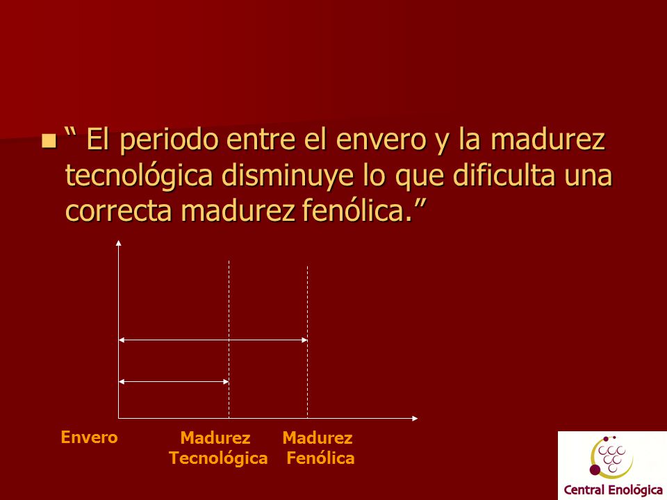 El periodo entre el envero y la madurez tecnológica disminuye lo que dificulta una correcta madurez fenólica.