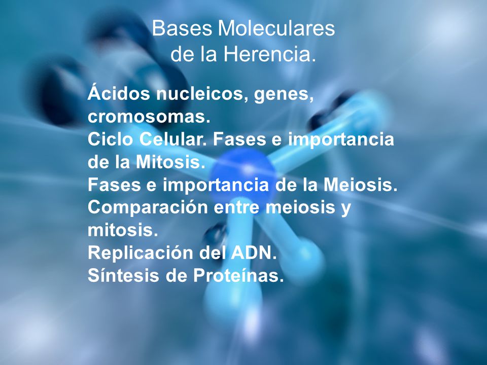 Bases Moleculares de la Herencia.