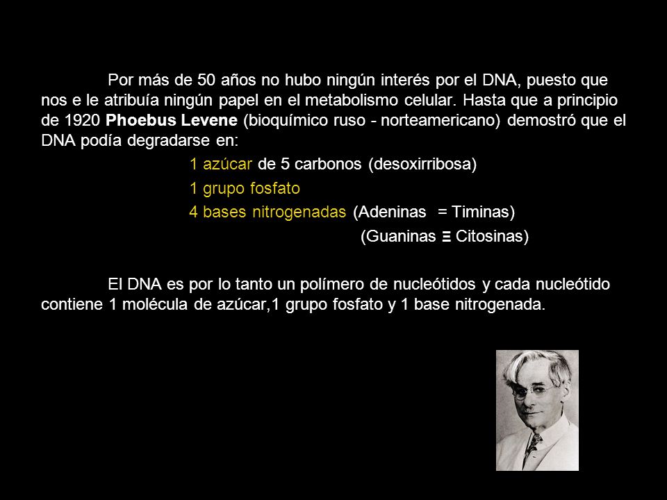 Por más de 50 años no hubo ningún interés por el DNA, puesto que nos e le atribuía ningún papel en el metabolismo celular. Hasta que a principio de 1920 Phoebus Levene (bioquímico ruso - norteamericano) demostró que el DNA podía degradarse en: