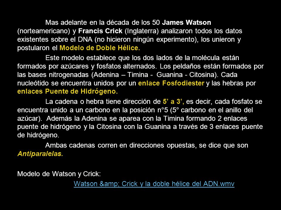 Mas adelante en la década de los 50 James Watson (norteamericano) y Francis Crick (Inglaterra) analizaron todos los datos existentes sobre el DNA (no hicieron ningún experimento), los unieron y postularon el Modelo de Doble Hélice.