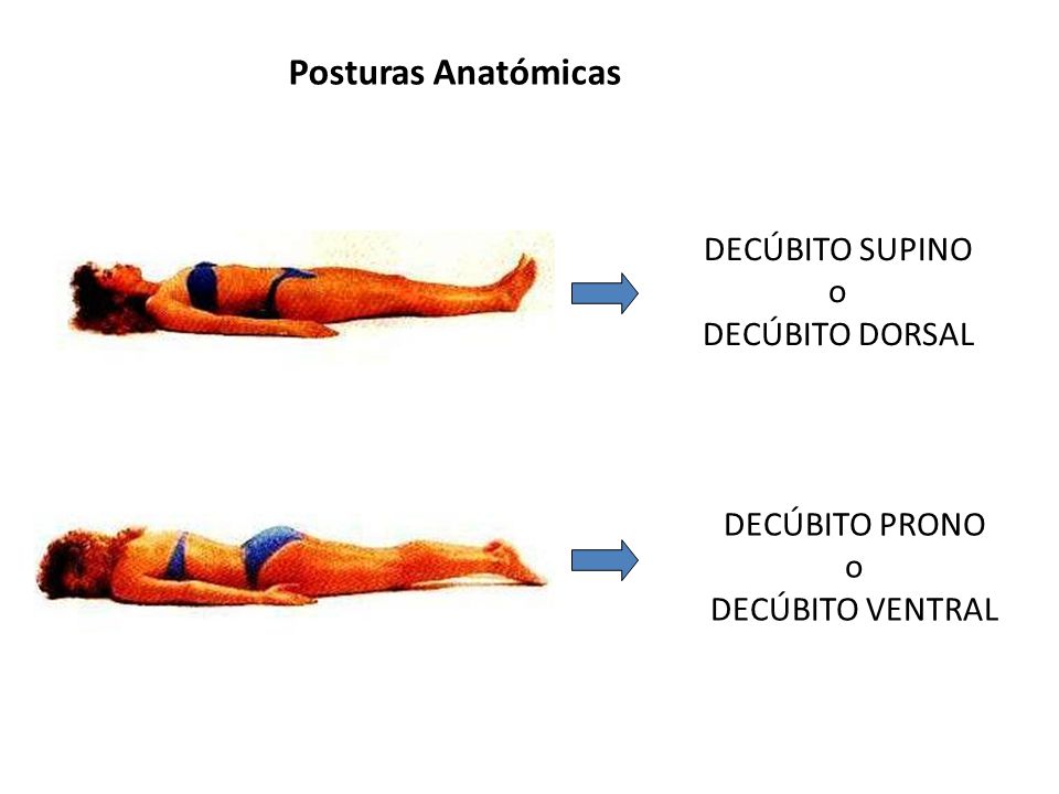 Posturas Anatómicas DECÚBITO SUPINO o DECÚBITO DORSAL DECÚBITO PRONO o