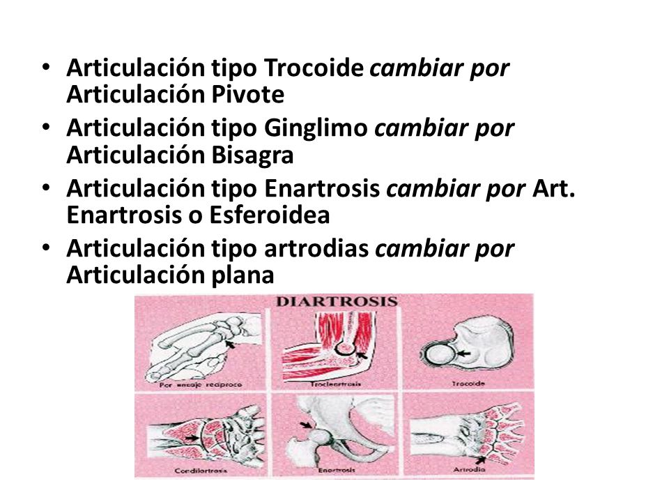Articulación tipo Trocoide cambiar por Articulación Pivote