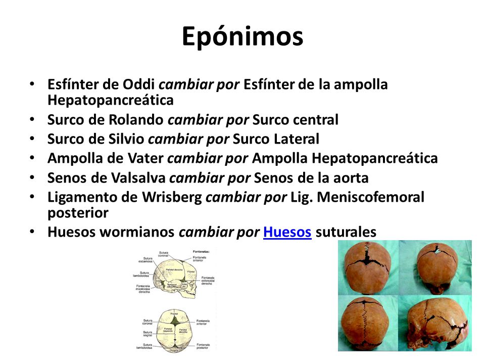 Epónimos Esfínter de Oddi cambiar por Esfínter de la ampolla Hepatopancreática. Surco de Rolando cambiar por Surco central.