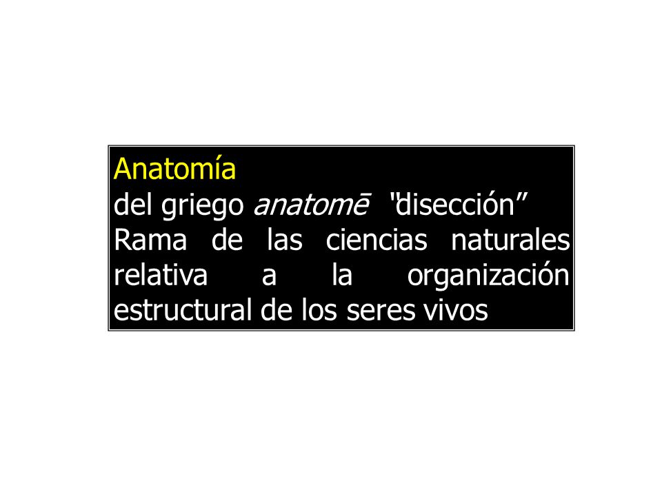 Anatomía: del griego anatomē disección Rama de las ciencias naturales relativa a la organización estructural de los seres vivos.