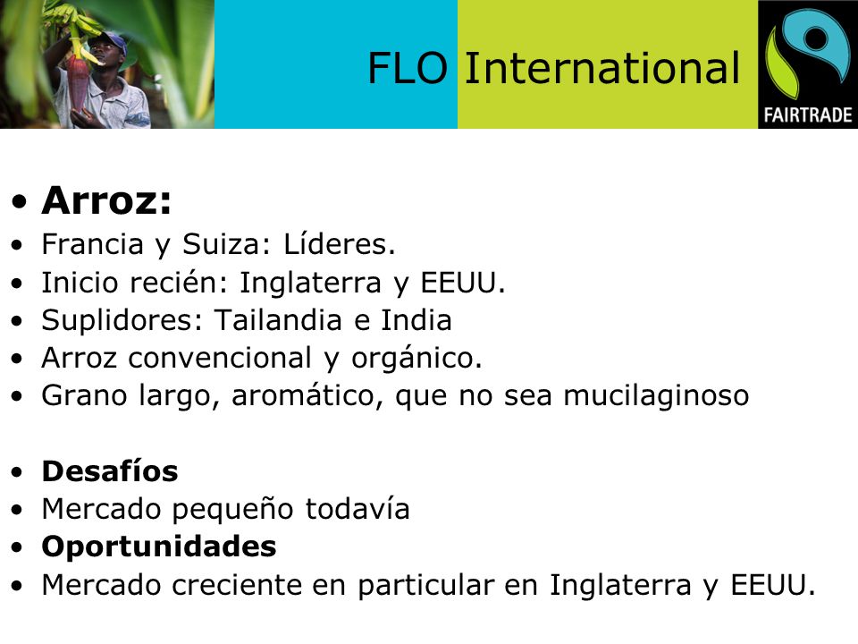 Arroz: Francia y Suiza: Líderes. Inicio recién: Inglaterra y EEUU.