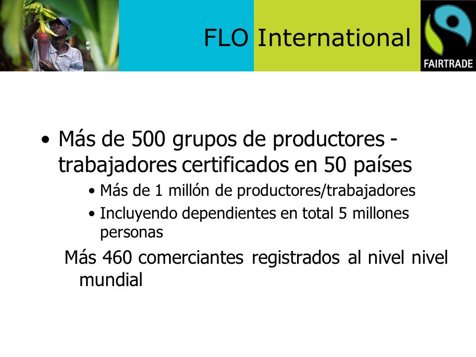 Más de 500 grupos de productores - trabajadores certificados en 50 países
