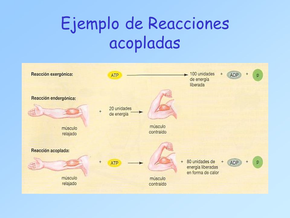 Ejemplo de Reacciones acopladas