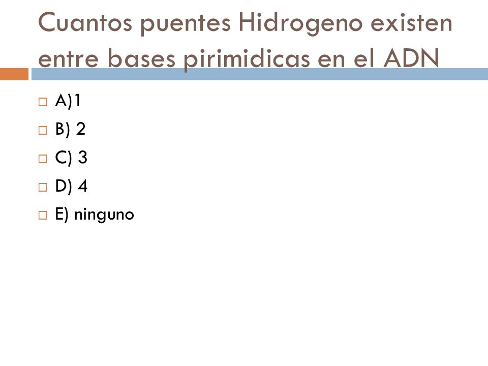 Cuantos puentes Hidrogeno existen entre bases pirimidicas en el ADN