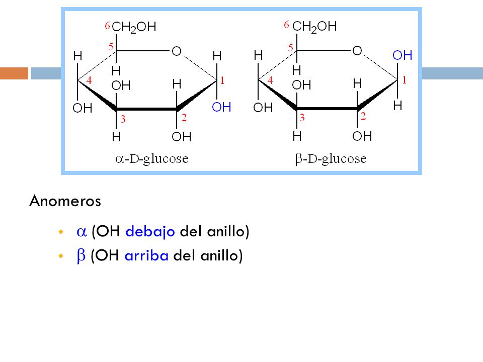 Anomeros a (OH debajo del anillo) b (OH arriba del anillo)