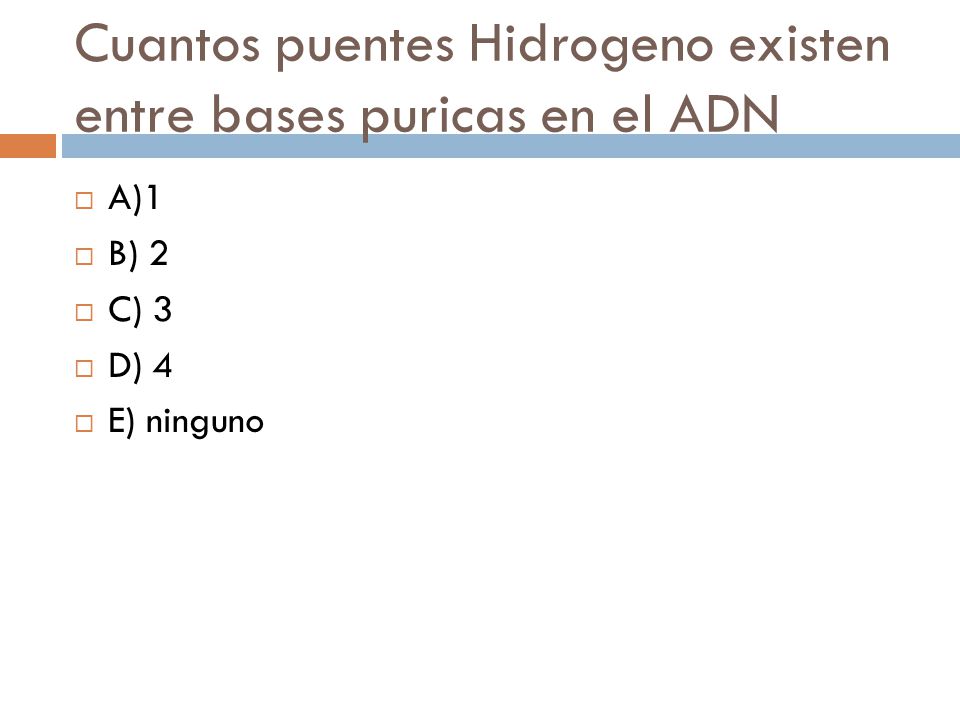 Cuantos puentes Hidrogeno existen entre bases puricas en el ADN