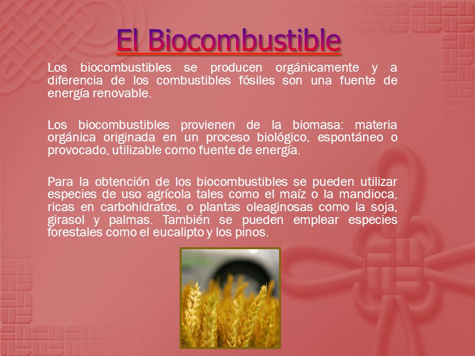 El Biocombustible Los biocombustibles se producen orgánicamente y a diferencia de los combustibles fósiles son una fuente de energía renovable.