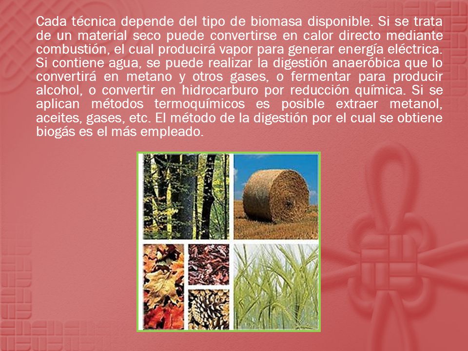 Cada técnica depende del tipo de biomasa disponible