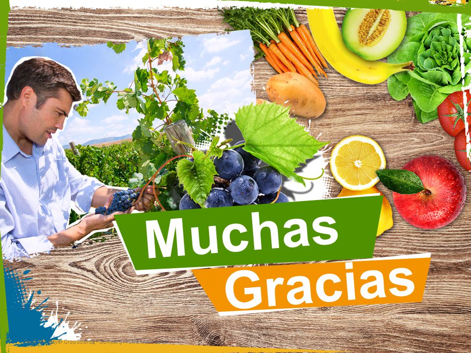 Muchas Gracias • Bayer CropScience • Company Profile • April 2014