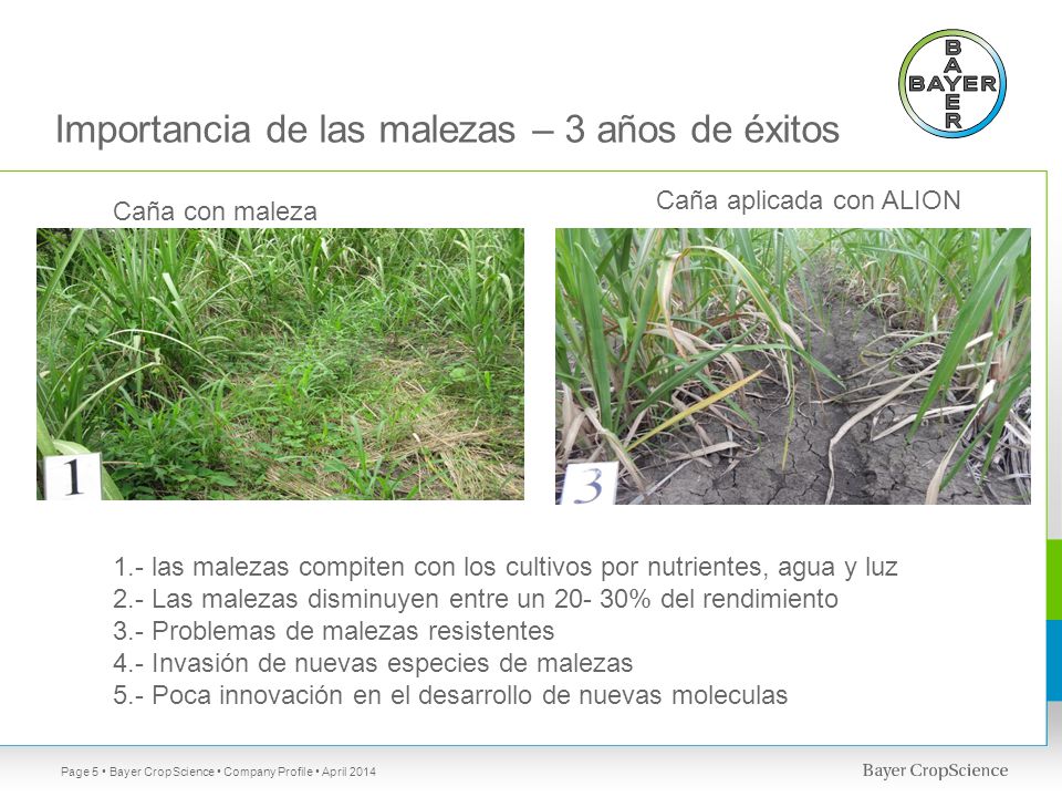 Importancia de las malezas – 3 años de éxitos