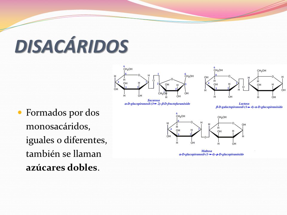 DISACÁRIDOS Formados por dos monosacáridos, iguales o diferentes,