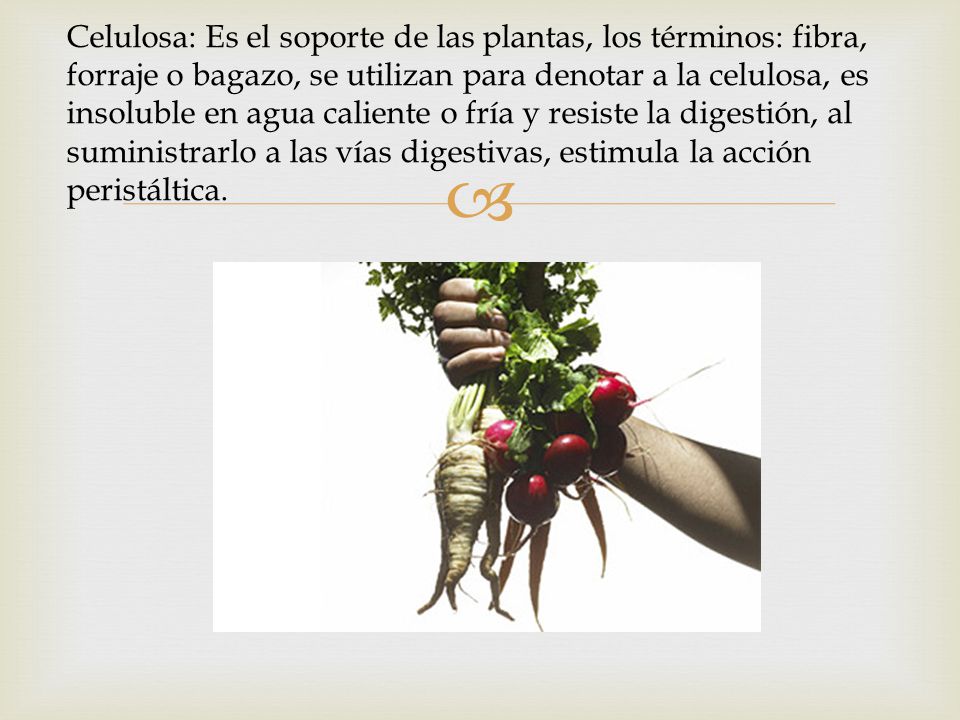 Celulosa: Es el soporte de las plantas, los términos: fibra, forraje o bagazo, se utilizan para denotar a la celulosa, es insoluble en agua caliente o fría y resiste la digestión, al suministrarlo a las vías digestivas, estimula la acción peristáltica.