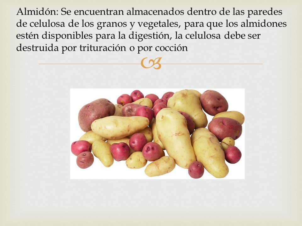 Almidón: Se encuentran almacenados dentro de las paredes de celulosa de los granos y vegetales, para que los almidones estén disponibles para la digestión, la celulosa debe ser destruida por trituración o por cocción