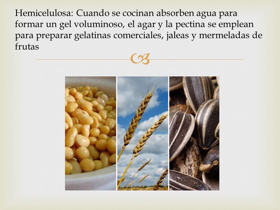 Hemicelulosa: Cuando se cocinan absorben agua para formar un gel voluminoso, el agar y la pectina se emplean para preparar gelatinas comerciales, jaleas y mermeladas de frutas