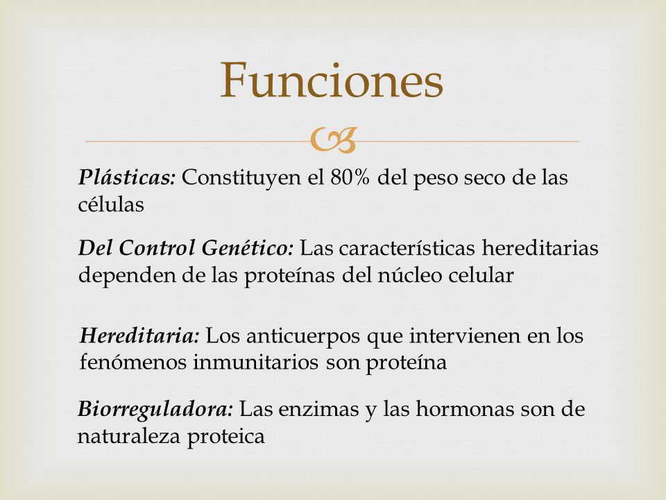 Funciones Plásticas: Constituyen el 80% del peso seco de las células