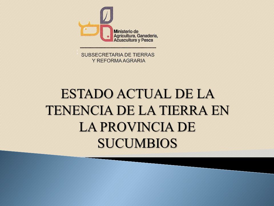 ESTADO ACTUAL DE LA TENENCIA DE LA TIERRA EN LA PROVINCIA DE SUCUMBIOS