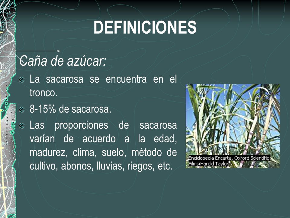 DEFINICIONES Caña de azúcar: La sacarosa se encuentra en el tronco.