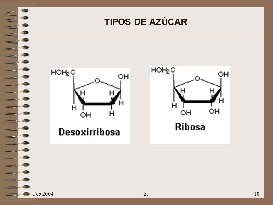 TIPOS DE AZÚCAR Feb 2004 lis