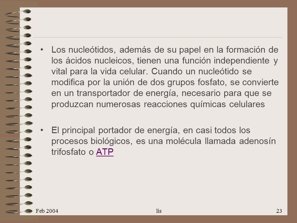 Los nucleótidos, además de su papel en la formación de los ácidos nucleicos, tienen una función independiente y vital para la vida celular. Cuando un nucleótido se modifica por la unión de dos grupos fosfato, se convierte en un transportador de energía, necesario para que se produzcan numerosas reacciones químicas celulares